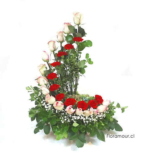 Formación semi-espiral con rosas y claveles. Los claveles podrían ser reemplazados por flores similares en caso de no disponibilidad por temporada. Solo Santiago. Seleccione color de rosas: